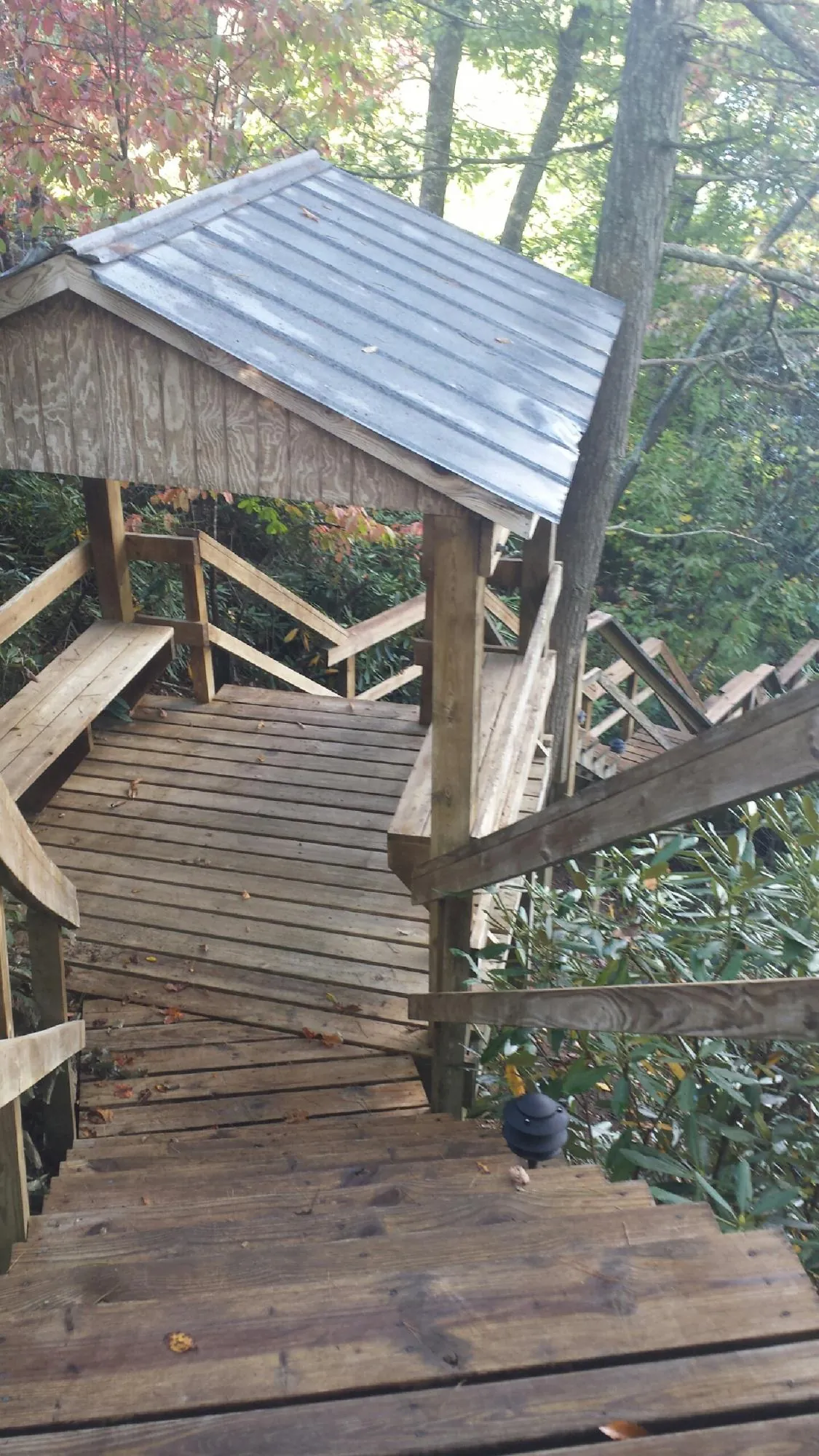 Metal roofed shelter over wooden steps on a wooded walkway — Skylight Repair & Installation work by our crew in Camano Island