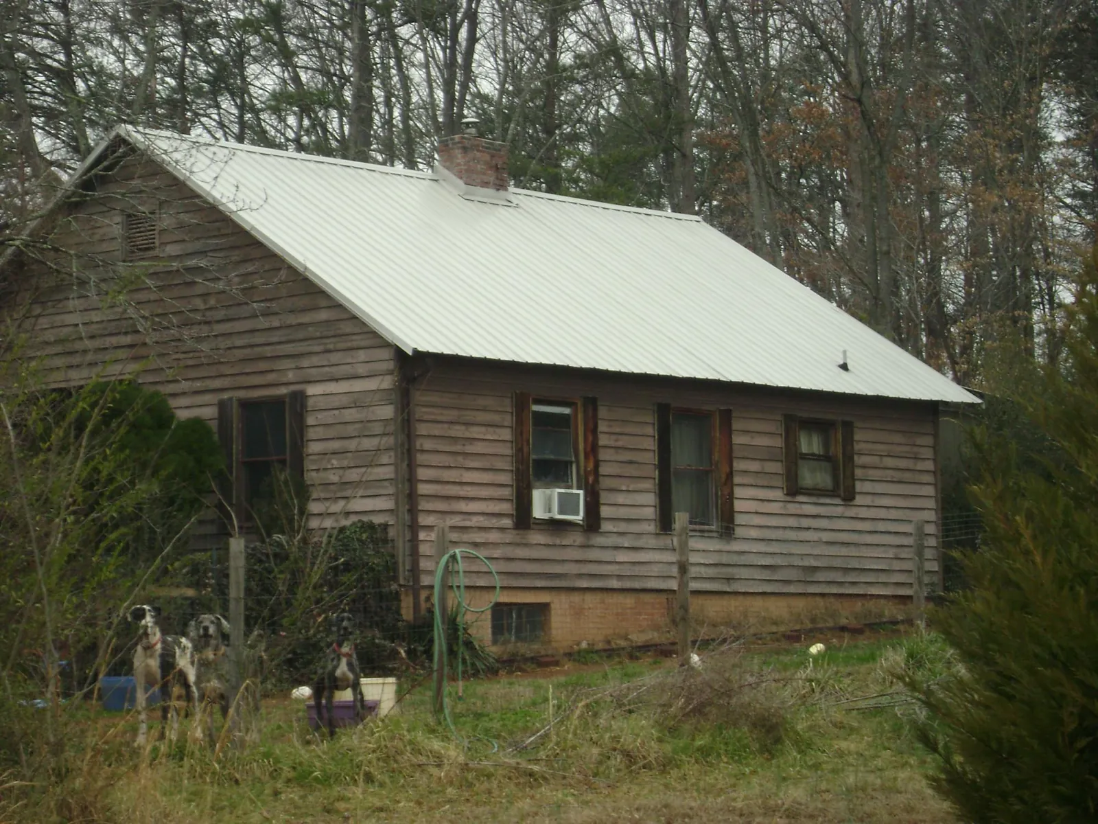 White metal roof on an old wood sided farmhouse, from a Metal Roof Installation job in Camano Island
